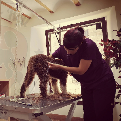 imagenCentro_20230201_220826_93