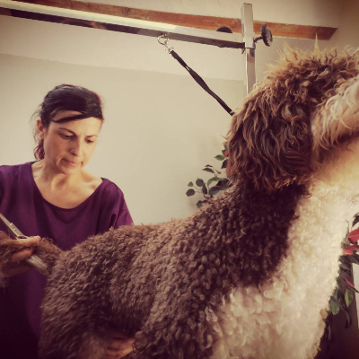 imagenCentro_20230201_220857_7352