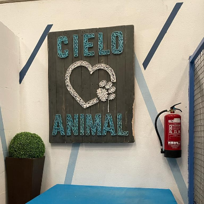 Imagen 3 del centro Cielo Animal