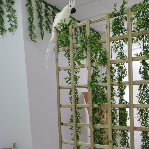 Imagen 1 del centro Lucía Ramirez Imagen 1 del centro Lucía Ramirez