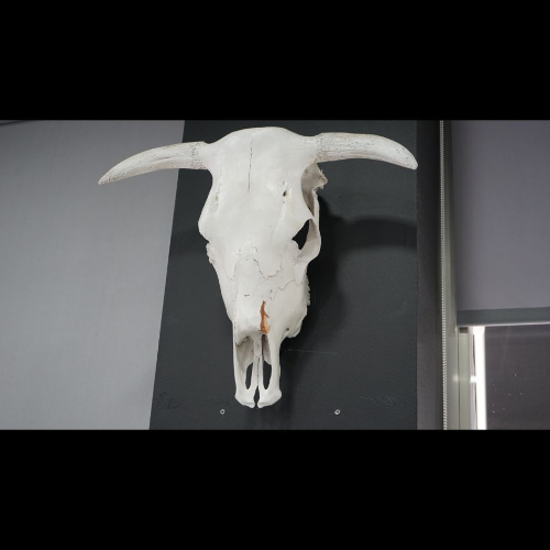 Imagen 4 del centro Cavalier Barbería Imagen 4 del centro Cavalier Barbería